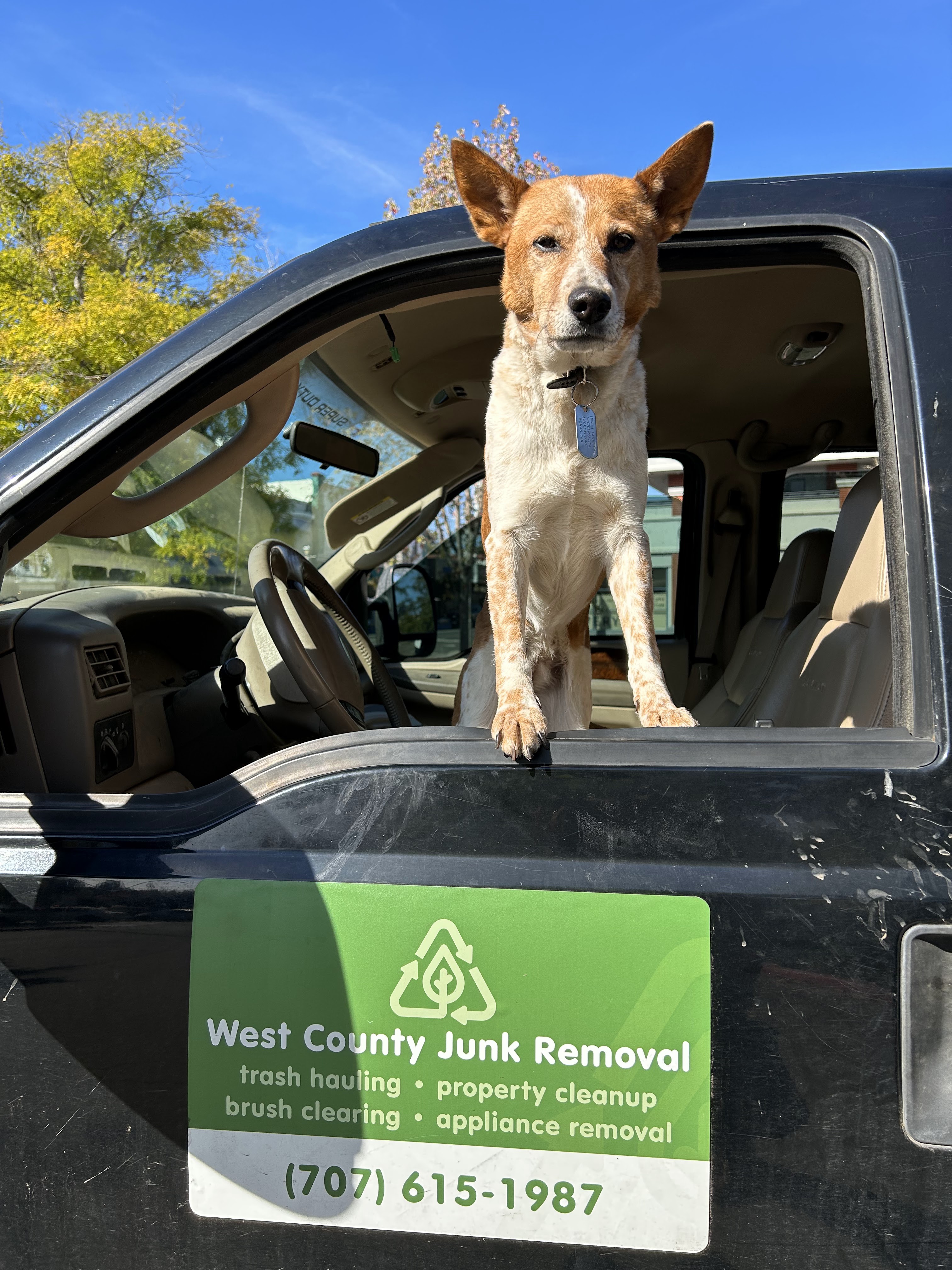 Rusty, in the truck